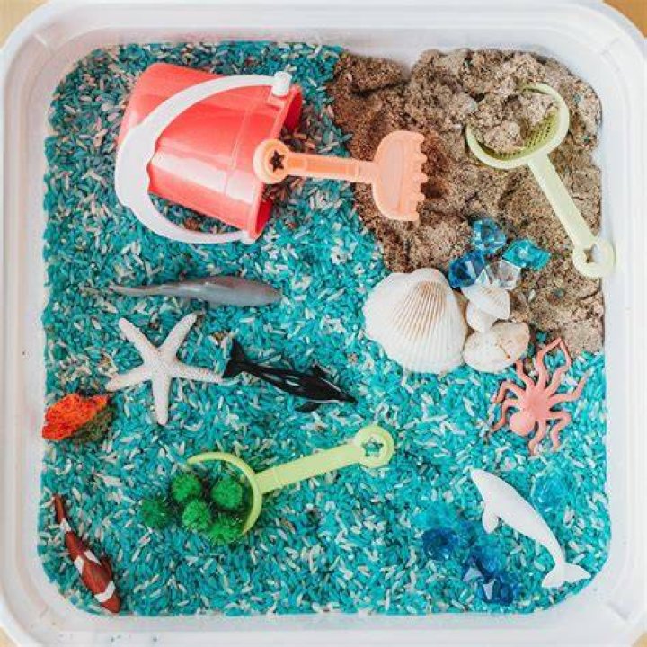 At the Beach Sensory Bin Idea My Bored Toddler