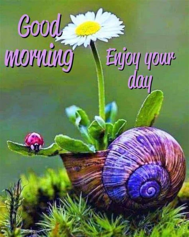 Good Morning Enjoy Your Last Day Of January Pictures, Photos, and