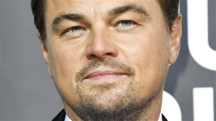 Image detail for Leonardo DiCaprio Movies Collection MediafireDowns