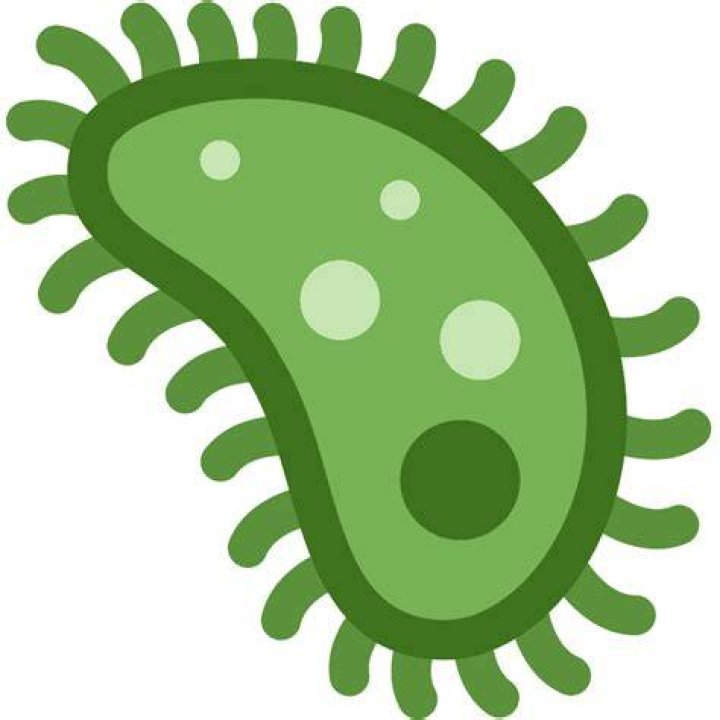 Microbe emoji clipart. Free download transparent .PNG Creazilla