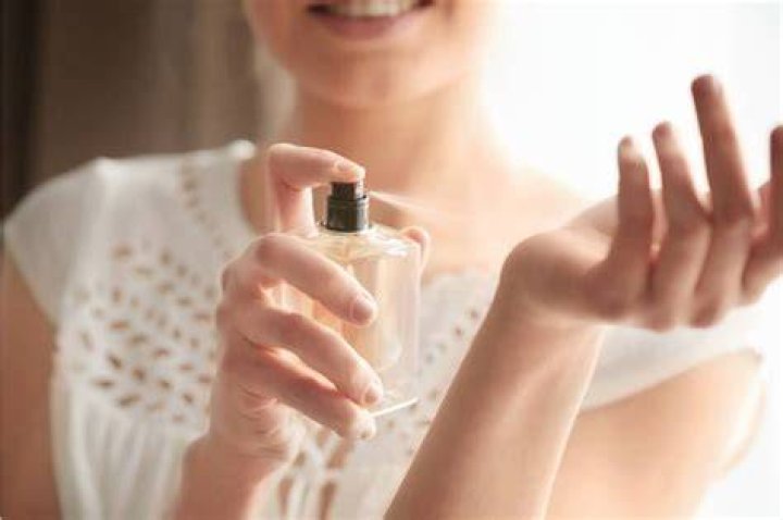 Pin by La Ilusi&oacute;n Perfumada on Black or White Pam hardy, Jungle jim