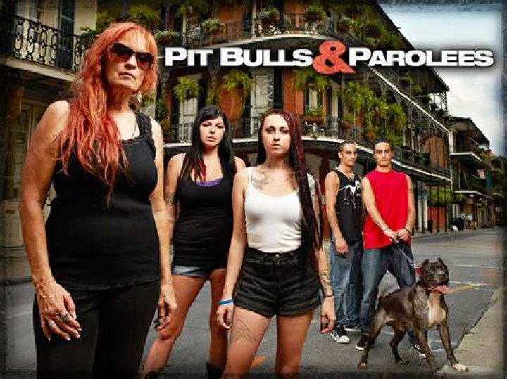 Pit Bulls and Parolees, Season 10 wiki, synopsis, reviews Movies