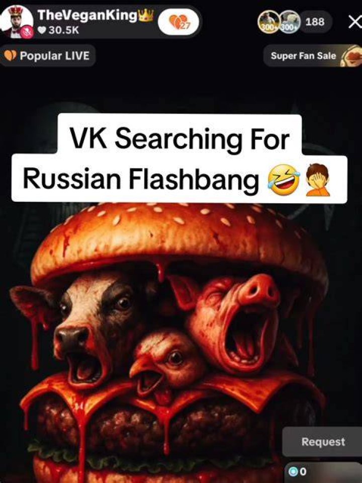 Russian flashbang r/awfuleverything