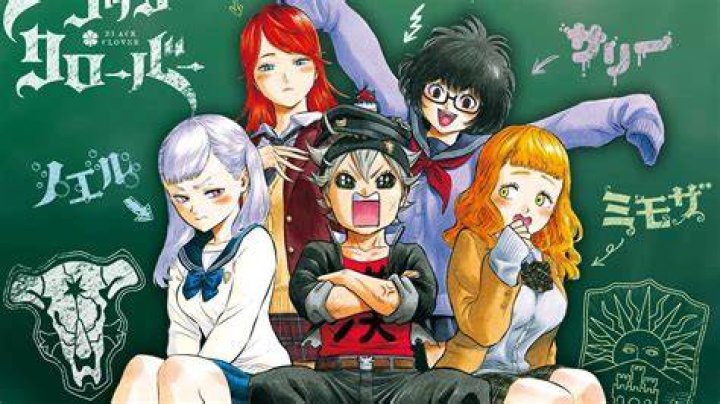 Sfondi anime girls, Black Clover, Noelle Silva 801x1461 jofire