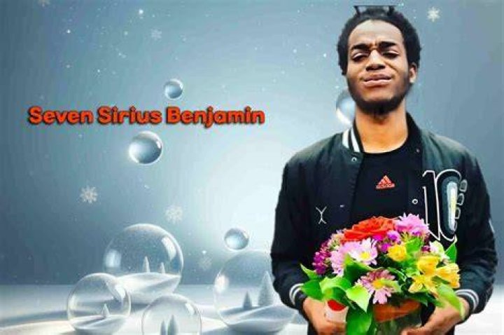 Unveiling The Enigma: Seven Sirius Benjamin Revealed