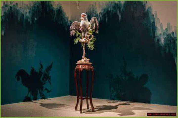 Unveiling The Multifaceted World Of Michelle Moyer: Discoveries And Insights