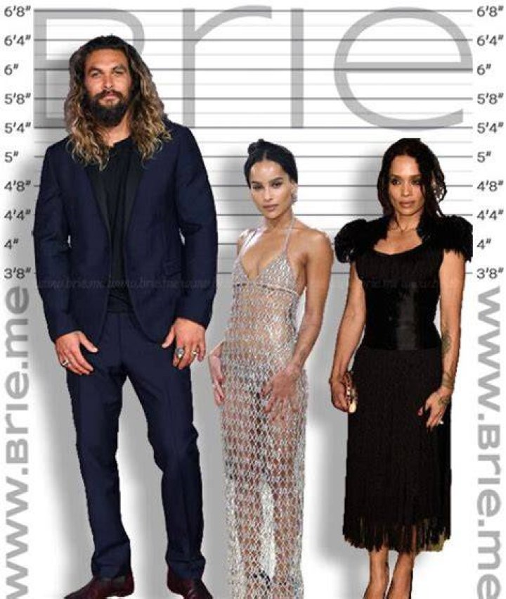 Zoe Kravitz Height Weight Body Stats Age Family Facts